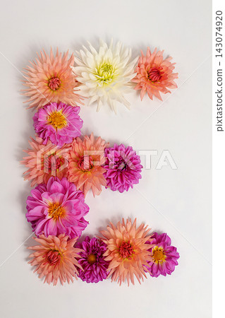 Letter E created from real, fresh dahlia flowers. Floral typography concept, floral font with colorful, vibrant flowers,A unique collection of letters and numbers for design. Creative idea for design Letter E created from real, fresh dahlia flowers. Floral typography concept, floral font with colorful, vibrant flowers,A unique collection of letters and numbers for design. Creative idea for design 143074920