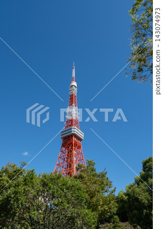 透過樹木可以看到東京鐵塔 143074973