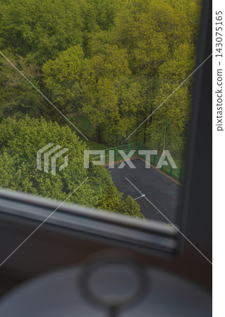 View from a Window Overlooking Trees and a Small Fenced Area View from a Window Overlooking Trees and a Small Fenced Area 143075165