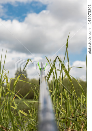 Close Up of Fishing Rod Among Tall Grass Under Partly Cloudy Sky 143075201