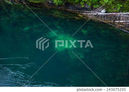 Aerial view of deep green fjord water with fallen log and forest edge, Norway Aerial view of deep green fjord water with fallen log and forest edge, Norway 143075205