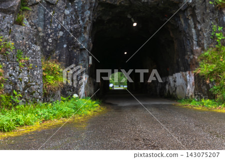 Stone tunnel with moss-covered walls and vegetation, Norway Stone tunnel with moss-covered walls and vegetation, Norway 143075207