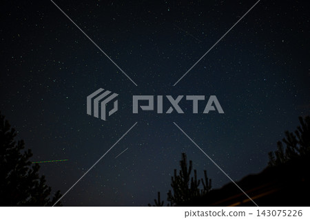 Starry Night Sky with Meteor Streaks and Silhouetted Tree Branches Starry Night Sky with Meteor Streaks and Silhouetted Tree Branches 143075226