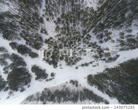 Aerial winter pine forest in Belarus with star shaped track junction Aerial winter pine forest in Belarus with star shaped track junction 143075285
