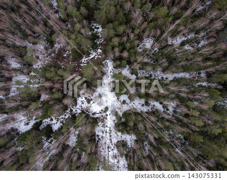 Aerial hut in Belarus forest, Belovezhskaya Pushcha in thaw Aerial hut in Belarus forest, Belovezhskaya Pushcha in thaw 143075331