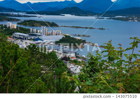 Aerial view of coastal settlement with marina and mountains, Norway fjord region 143075510