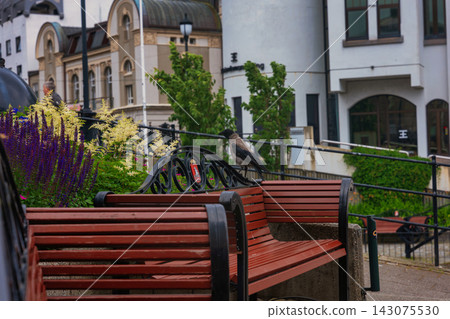 Red bench with black armrest in urban park, Norway street seating with ivy-covered architecture background 143075530