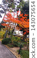 Landscape with autumn leaves 143075654