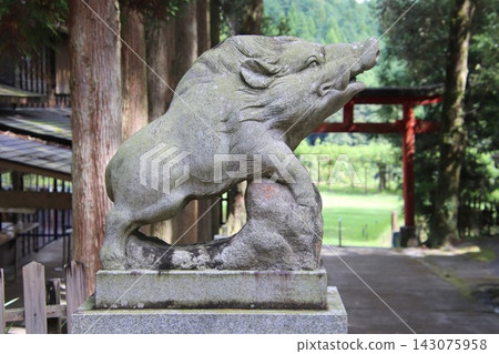 鹿兒島縣霧島市覺神社的守護野豬 143075958