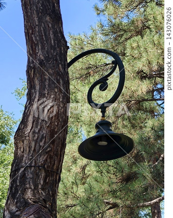 Vintage black street lamp on a tree trunk Vintage black street lamp on a tree trunk 143076026