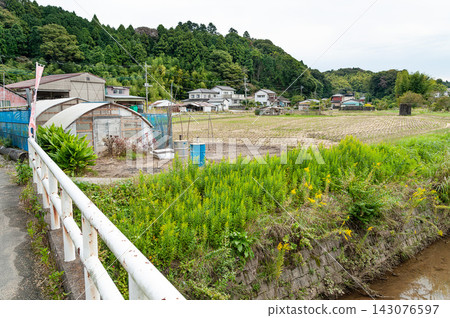 A rural landscape in Kitaibaraki, Ibaraki Prefecture, featuring rice paddies and greenhouses after the harvest. A rural landscape in Kitaibaraki, Ibaraki Prefecture, featuring rice paddies and greenhouses after the harvest. 143076597