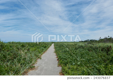 貉倉島:一條公路穿越草原,俯瞰日本海。 貉倉島:一條公路穿越草原,俯瞰日本海。 143076837