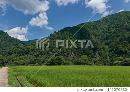菅沼青田夏日天空 菅沼青田夏日天空 143076880