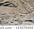 Undulating sandy beach 143076948