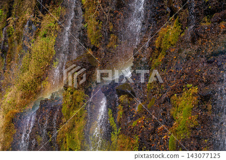 [Waterfall Material] Autumn Leaves and Shiraito Falls with Rainbow [Shizuoka Prefecture] 143077125