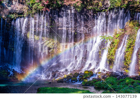 [Waterfall Material] Autumn Leaves and Shiraito Falls with Rainbow [Shizuoka Prefecture] 143077139