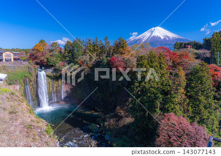 [Mt. Fuji Image] Autumn scenery - Otodome Falls and Mt. Fuji during the autumn foliage season [Shizuoka Prefecture] 143077143