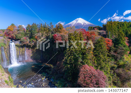 [Mt. Fuji Image] Autumn scenery - Otodome Falls and Mt. Fuji during the autumn foliage season [Shizuoka Prefecture] 143077147