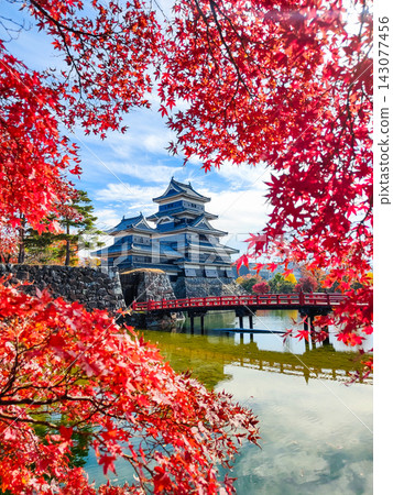 Autumn's Matsumoto Castle Autumn's Matsumoto Castle 143077456