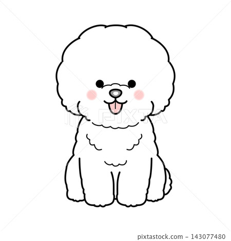 Vector illustration of a Bichon Frise (full body) Vector illustration of a Bichon Frise (full body) 143077480