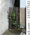 Architectural landscape of a metal gate surrounded by concrete walls and green plants. 143077583