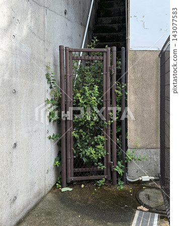 金屬大門被混凝土牆和綠色植物環繞,構成了一個建築景觀。 金屬大門被混凝土牆和綠色植物環繞,構成了一個建築景觀。 143077583