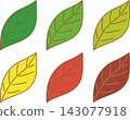 Seasonal leaf illustration set (icons for young leaves, autumn leaves, yellow leaves, and withered leaves) 143077918