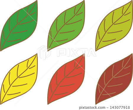 Seasonal leaf illustration set (icons for young leaves, autumn leaves, yellow leaves, and withered leaves) Seasonal leaf illustration set (icons for young leaves, autumn leaves, yellow leaves, and withered leaves) 143077918