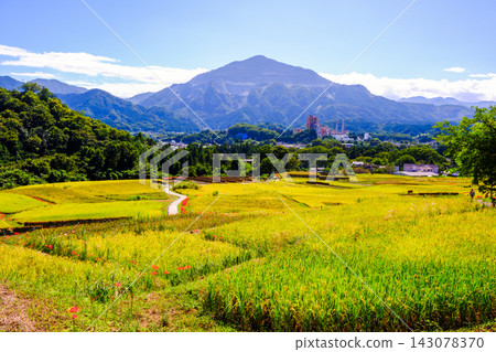 秋季梯田和武高山 秋季梯田和武高山 143078370
