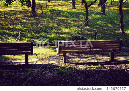 Autumn park bench Autumn park bench 143079357