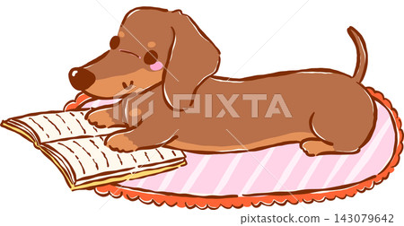Cute Dachshund Bookish Reading Book on Carpet Hand Drawn Illustration Cute Dachshund Bookish Reading Book on Carpet Hand Drawn Illustration 143079642