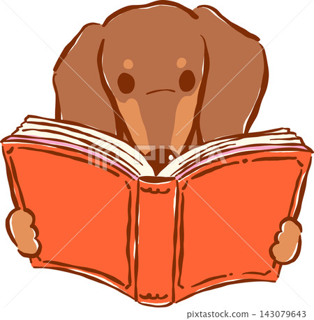 Cute Brown Dachshund Bookish Reading Book Hand Drawn Illustration Cute Brown Dachshund Bookish Reading Book Hand Drawn Illustration 143079643