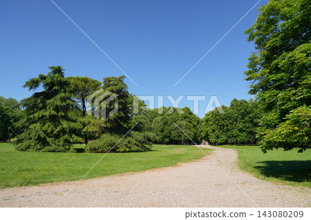 Walking pathway in green park in Italy at summer sunny day Walking pathway in green park in Italy at summer sunny day 143080209