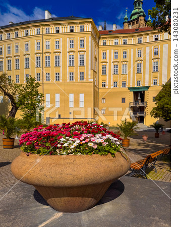 Prague Castle historic buildings from the Gardens, framed by bright red flowers Prague Castle historic buildings from the Gardens, framed by bright red flowers 143080231