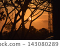 Sun dips behind tree branches, casting golden glow. Silhouetted branches frame the fading daylight. Distant tower stands against the orange sky. Warm light bathes the horizon in serene tones 143080289