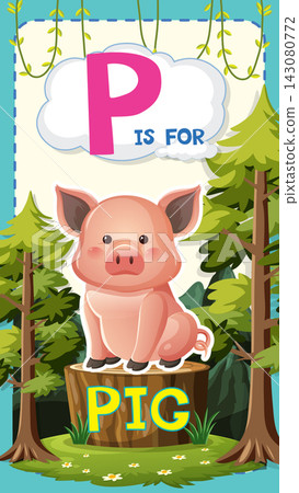 Alphabet Letter P Education Poster with Cartoon Pig in Forest 143080772