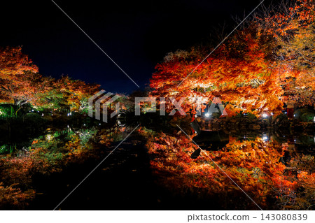 Nov 25 2025 Glowing Autumn Maples Reflecting in To ji Temple Pond Nov 25 2025 Glowing Autumn Maples Reflecting in To ji Temple Pond 143080839