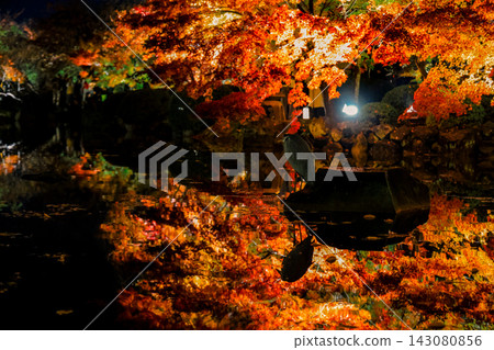 Nov 25 2025 Glowing Autumn Maples Reflecting in To ji Temple Pond Nov 25 2025 Glowing Autumn Maples Reflecting in To ji Temple Pond 143080856