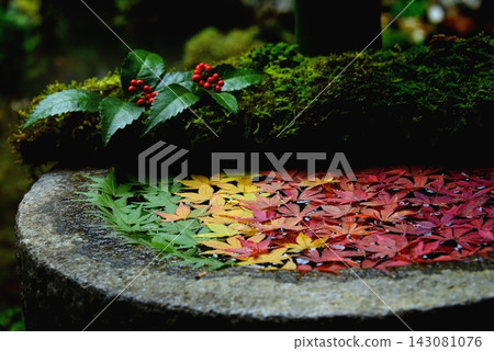 Autumn gradient in the water basin 143081076