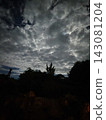 夜空、天空、雲 143081204