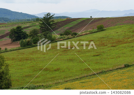 夏天秀麗風景 夏天秀麗風景 143082086