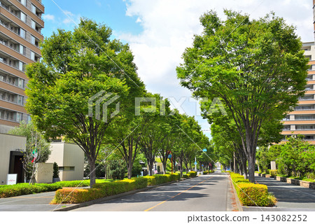 愛知縣千草區名古屋市容:名古屋中央花園 愛知縣千草區名古屋市容:名古屋中央花園 143082252