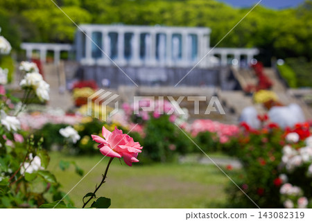 20260518 須麻御苑公園 20260518 須麻御苑公園 143082319
