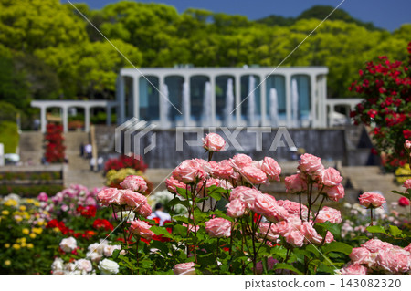 20260518 須麻御苑公園 20260518 須麻御苑公園 143082320