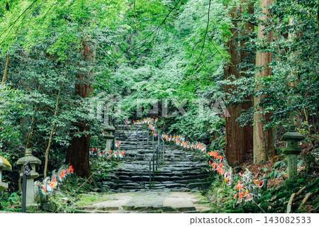 [Higashiomi City, Shiga Prefecture] Kongorinji Temple: The approach lined with a thousand Jizo statues and fresh greenery 143082533