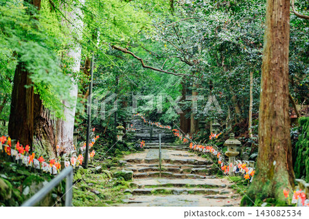 【滋賀縣東近江市】金剛林寺：參道兩側林立著上千尊地藏菩薩像和鬱鬱蔥蔥的綠植 143082534