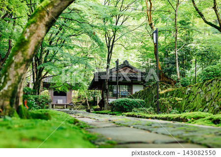 【滋賀縣東近江市】金剛林寺:綠樹環繞的入口 【滋賀縣東近江市】金剛林寺:綠樹環繞的入口 143082550