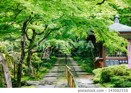 【滋賀縣東近江市】金剛林寺:綠樹環繞的入口 【滋賀縣東近江市】金剛林寺:綠樹環繞的入口 143082558