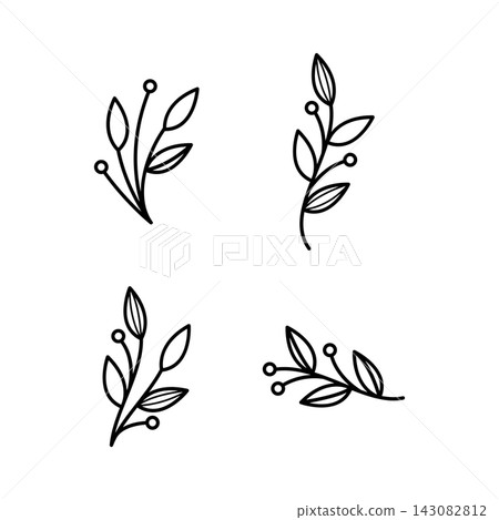 Simple botanical leaf element illustration 143082812