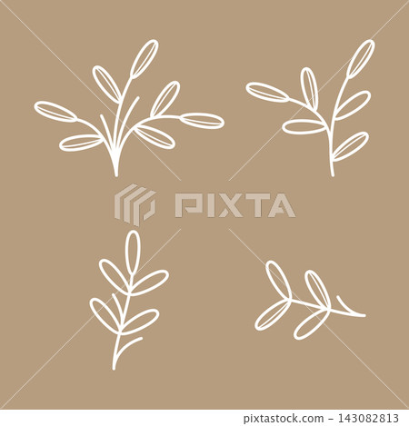 Simple botanical leaf element illustration Simple botanical leaf element illustration 143082813